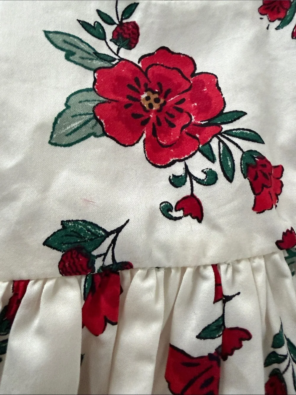 Carter's White Dress with Red and Green Floral Print